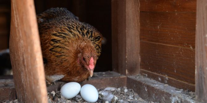 Geleceğin Mesleğine Öğrencilerden Büyük İlgi