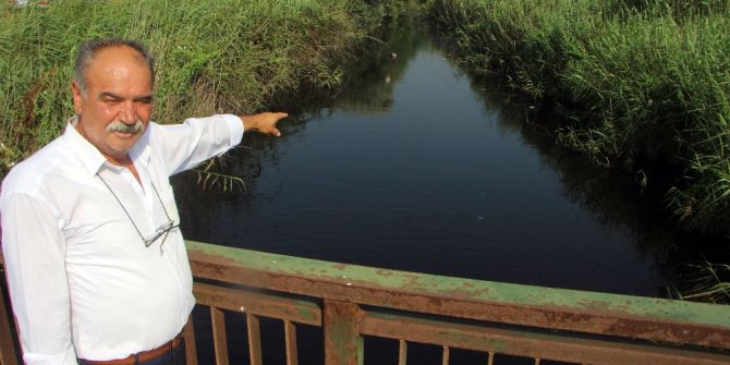 Has Tavuk’a Büyük Ceza