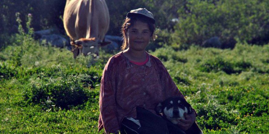 Tatilini Çobanlık Yaparak Geçiriyor