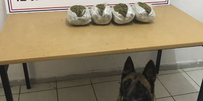 Marmaris’te 2,5 Kilogram Esrar Ele Geçirildi