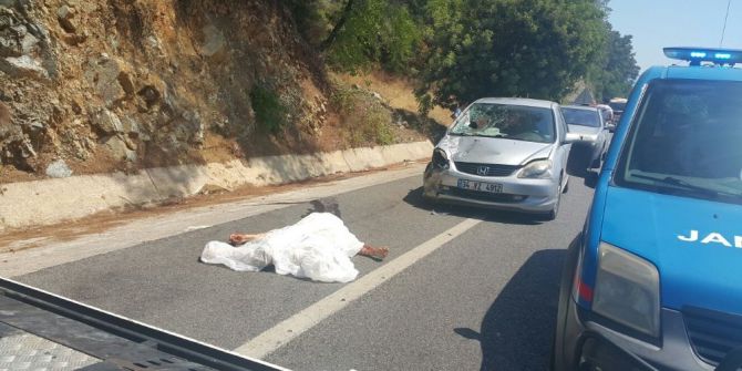 Marmaris’te Trafik Kazası: 1 Ölü