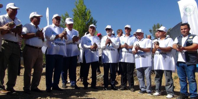 249 Demokrasi Şehidi İçin 249 Keklik Doğaya Bırakıldı