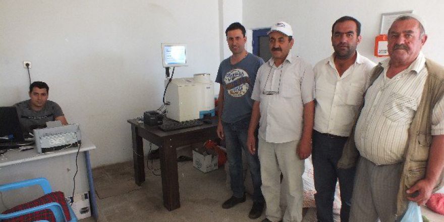 Malazgirt’te Tmo Buğday Alımını Sürdürüyor