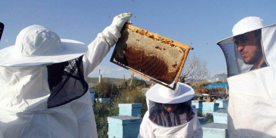 Evliyaoğlu: "Ardahan’da Bal Rekoltesi Yüzde 40 Azaldı"