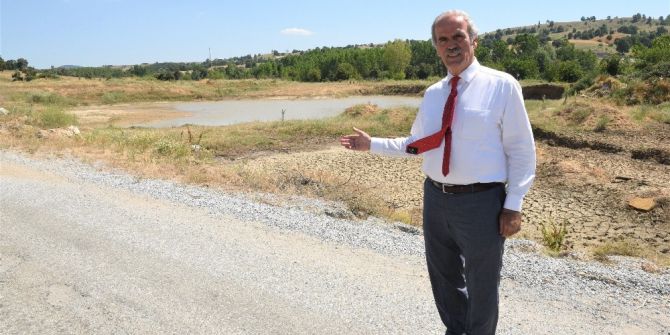 Hayvancılığa Değer Katacak Tesis