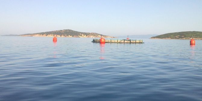 Ayvalık’ta Balık Çiftliklerine İzin Yok