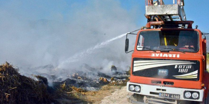 Antalya’da Sazlık Alanda Yangın Çıktı