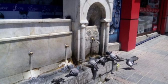 Sıcaktan Bunalan Güvercinler Çeşmede Serinliyor