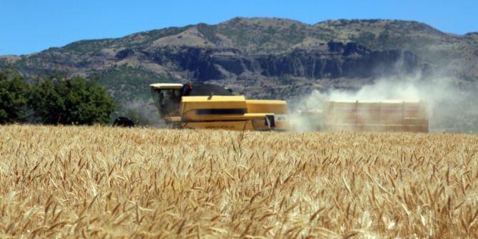 Tunceli’de İlk Defa Ayyıldız Buğdayının Hasadı Yapıldı