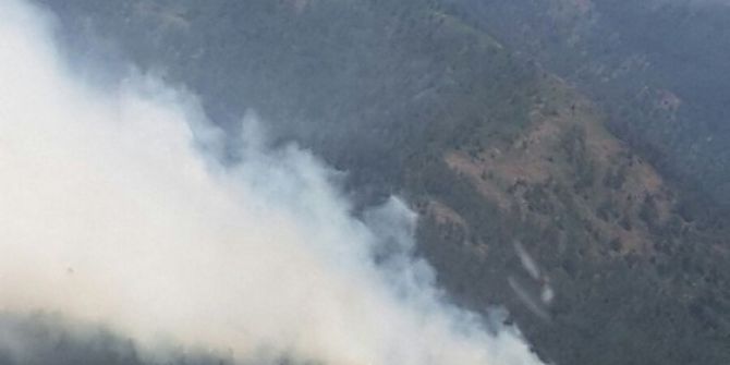 Hatay’da Orman Yangını