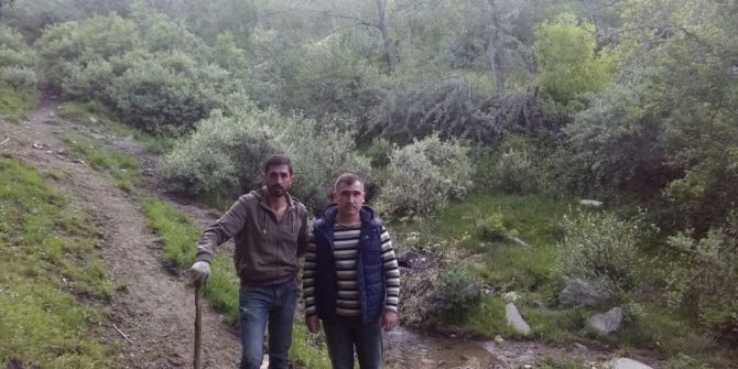 Bitlis’te ‘Bitki Müzesi’ Kurma Çalışması