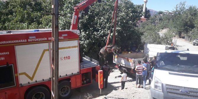 Ölmek Üzere Olan Atın İmdadına İtfaiye Yetişti