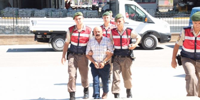 Mısır Tarlası İçinde Esrar Yetiştiren Şahıs Tutuklandı