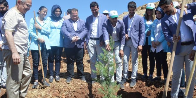 Mardin’de 15 Temmuz Şehitleri İçin Fidan Dikildi