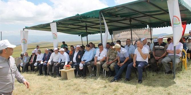 Tarım İl Müdürü Akar: “Geleceğimiz İçin Meraları Koruyoruz”