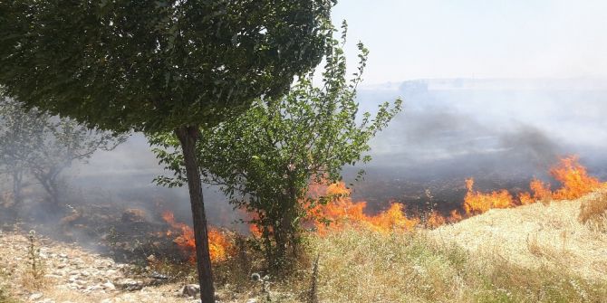 Kahramanmaraş İtfaiyesi 2 Ayda 815 Yangına Müdahale Etti