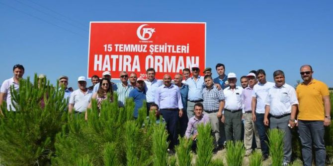 Selendi Ve Soma’da 15 Temmuz Hatıra Ormanı