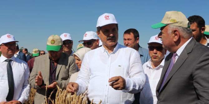 Bakan Çelik Konya’da Hasat Bayramına Katıldı