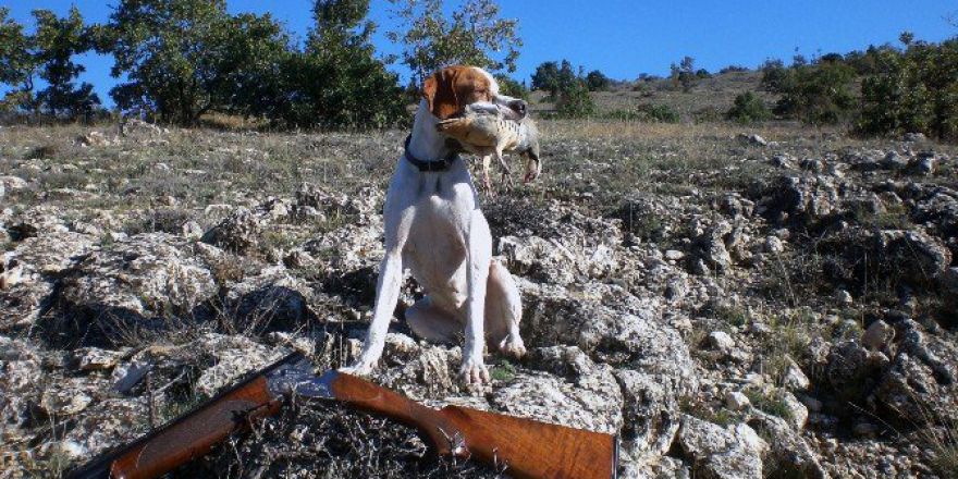 2016-2017 Av Dönemi Başlıyor