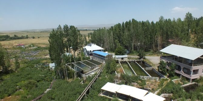 Malazgirt’teki Alabalık Tesisleri Büyük İlgi Görüyor