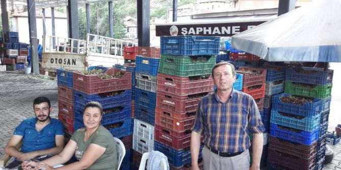 Şaphane’de Vişne Fiyatları Kalitesine Göre Değişiyor