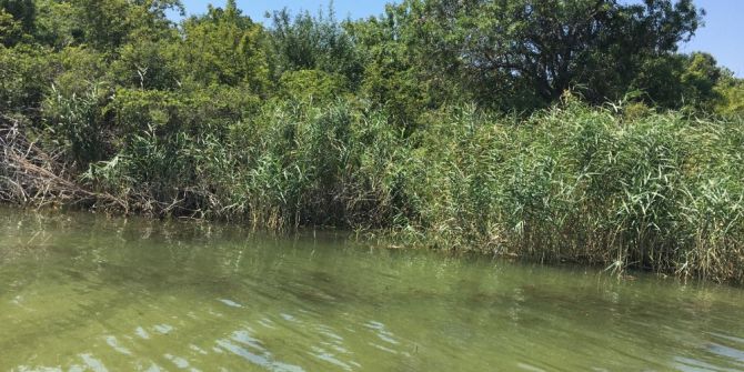 Jandarmadan Uyuşturucu Tacirlerine Droneli Denetim