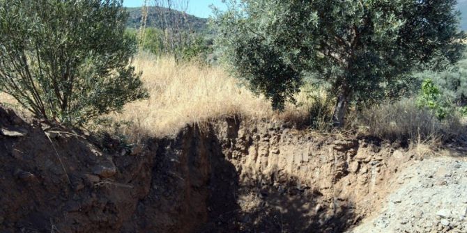 Korkunç İtiraf: "Öldürüp Zeytinlik Alana Gömdüm"