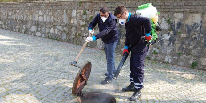 Efeler Belediyesi Haşerelere Savaş Açtı