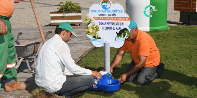 Sokak Hayvanlarına Hayat Suyu