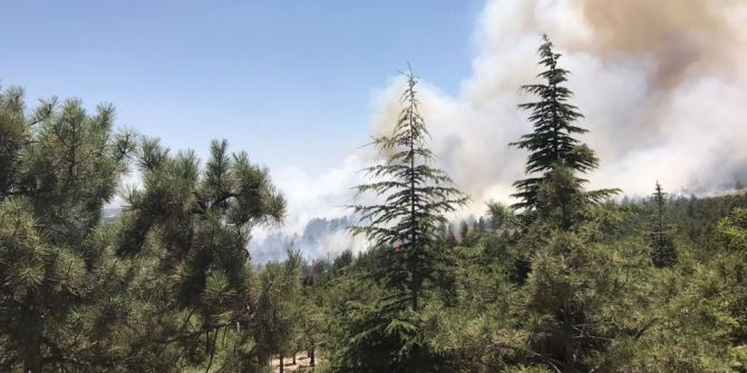 Konya’da Ormanlık Alanda Yangın