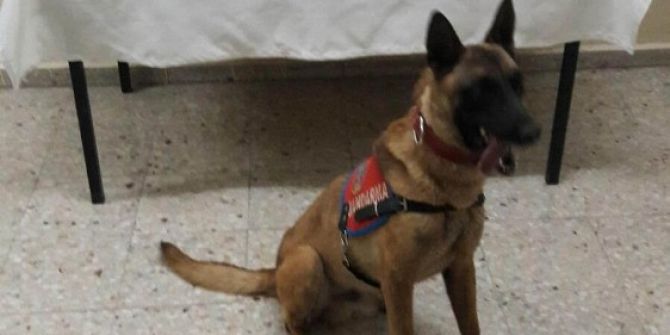 El Bagajı Rafında Esrar Ele Geçirildi