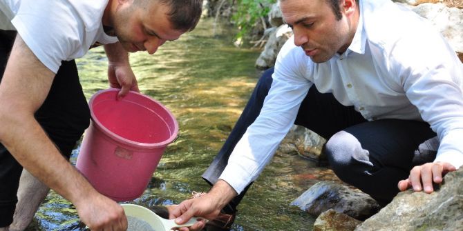 Nergele Çayı’na 7 Bin Kırmızı Benekli Alabalık Yavrusu Bırakıldı