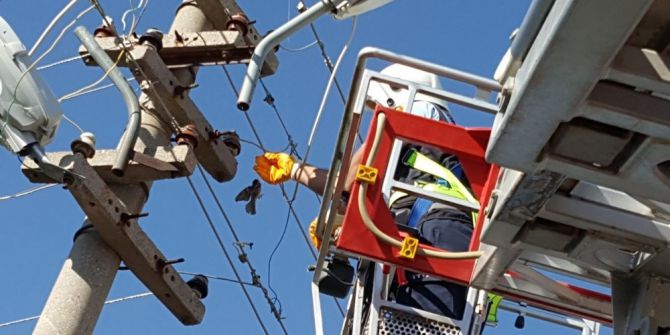 Elektrik Tellerine Takılan Serçeyi İtfaiye Ekipleri Kurtardı