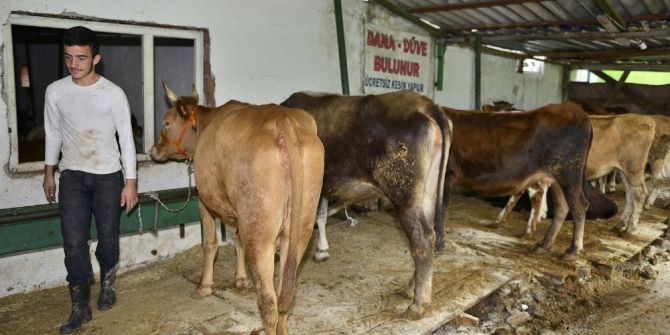 Yıldırım’da ‘Sertifikalı Kurban Kesim Kursu’