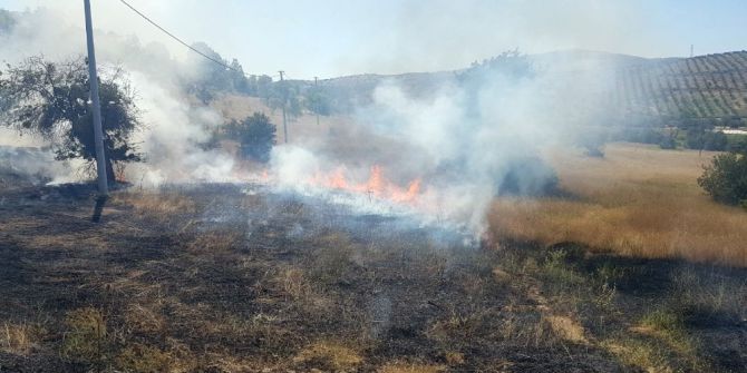 Tarlada Çıkan Yangın Ormana Sıçramadan Söndürüldü