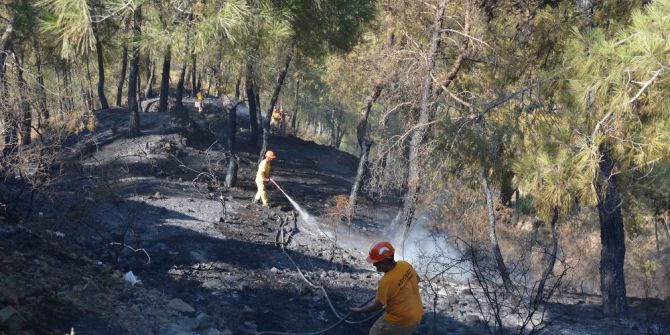 Ortaca’da Orman Yangını