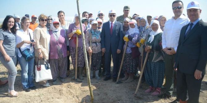 250 Fidan, 15 Temmuz Şehitlerinin Anısına Toprakla Buluştu