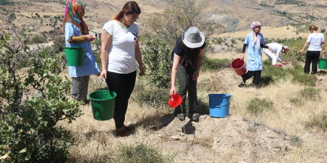 Kyk’ Dan 15 Temmuz Şehitleri Adına Fidan Dikimi