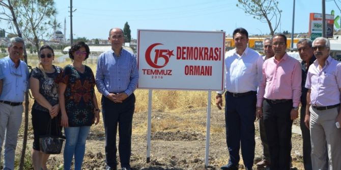 Ayvalık’ta ‘Demokrasi Ormanı’