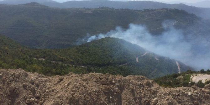 Hatay Sınırında Orman Yangını