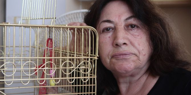 Kaybolan Papağanının Bulunması İçin Ağlıyor