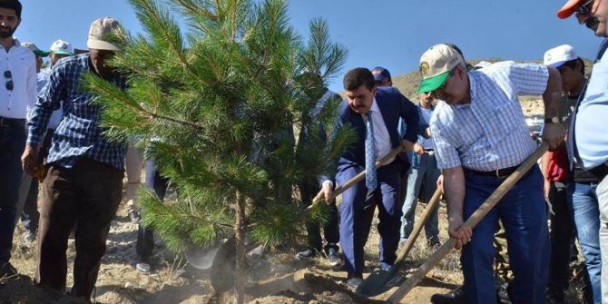 249 Demokrasi Şehidi Anısına 249 Adet Fidan Toprakla Buluştu