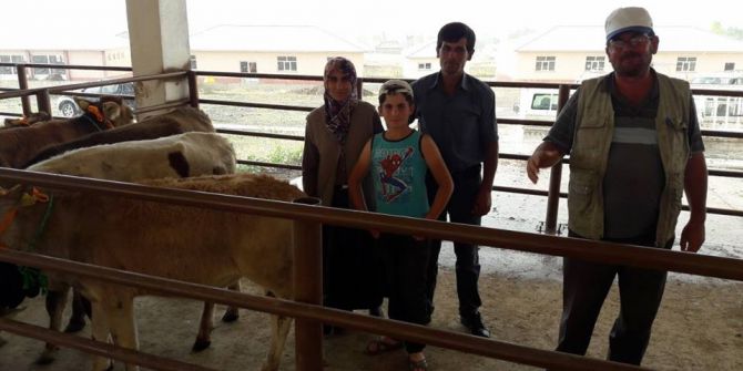Bulanık’ta Damızlık Düve Dağıtımı