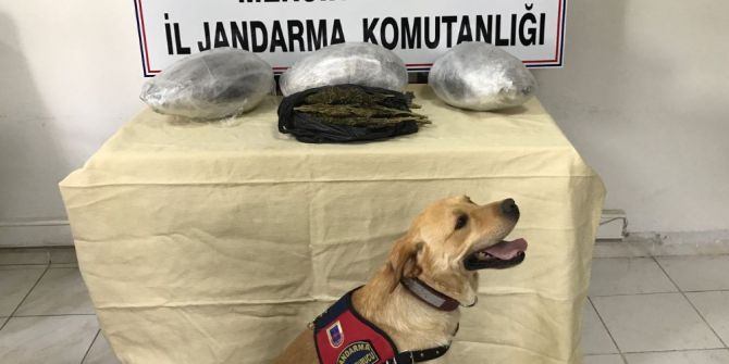 Mersin’de Uyuşturucu Operasyonu