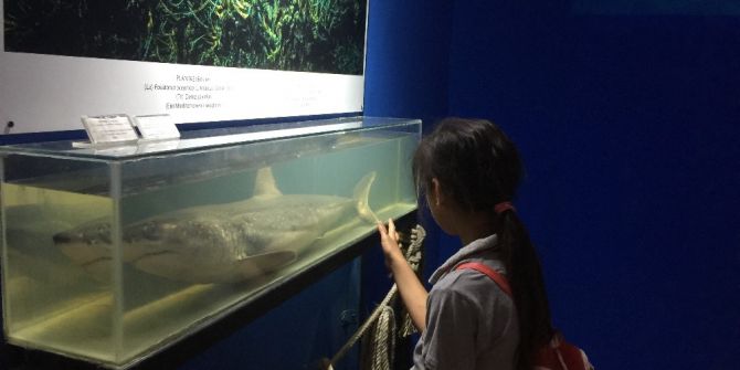 Aslan Ve Papağan Balıkları Deniz Biyolojisi Müzesi’nde