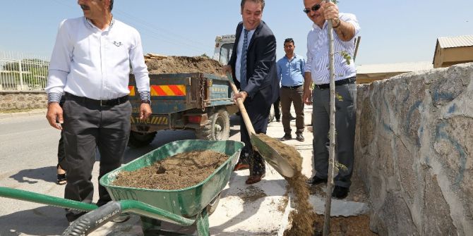 Buca Yeşile Bürünüyor