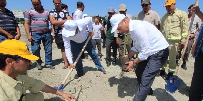 Saruhanlı’da 15 Temmuz Şehitleri İçin Fidan Dikildi