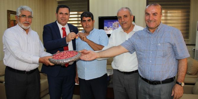 Yılın İlk Antepfıstığına Altın Ödülü