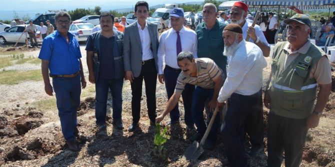 Düziçi’de 249 Şehit İçin 249 Fidan Dikildi