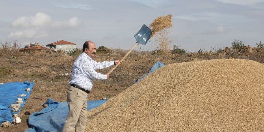 Üreticiye Alternatif Ürün Desteği